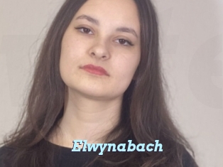 Elwynabach