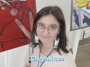 Elwynabuss