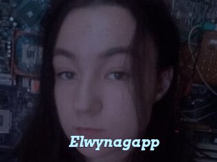 Elwynagapp