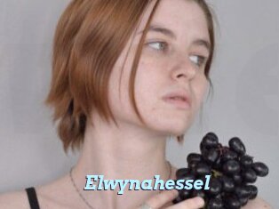 Elwynahessel