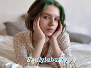 Emilylabunny