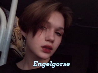 Engelgorse