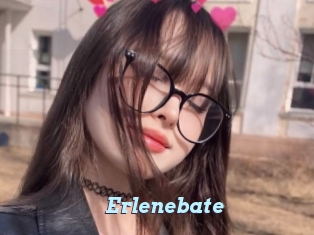 Erlenebate