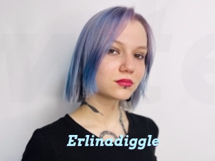 Erlinadiggle