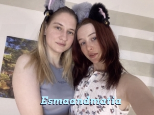 Esmaandmatia