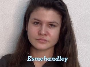 Esmehandley