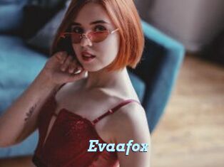 Evaafox