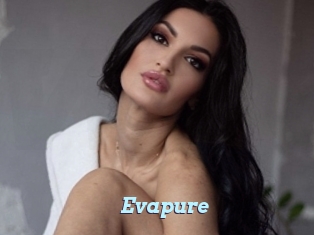 Evapure