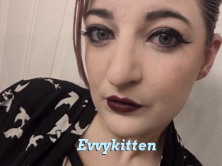 Evvykitten