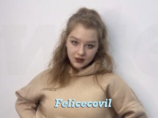 Felicecovil