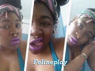 Felineplay
