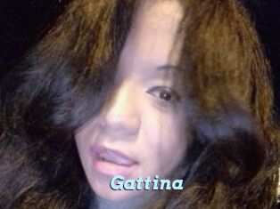 Gattina