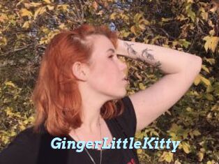 GingerLittleKitty