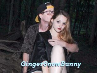 GingerSnowBunny