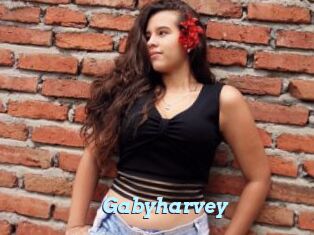 Gabyharvey