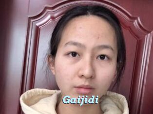 Gaijidi