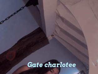 Gate_charlotee