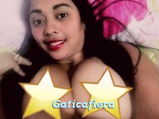 Gaticafiera