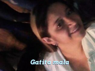 Gatita_mala