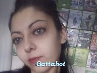 Gattahot