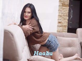 Haabu