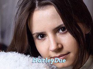 Harley_Due