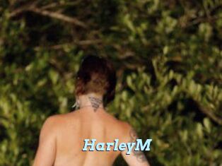HarleyM