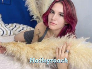 Haileyroach
