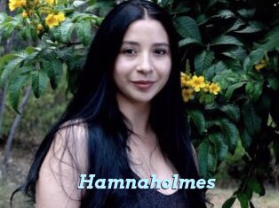 Hamnaholmes