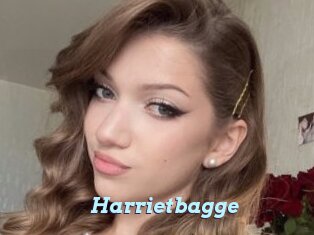 Harrietbagge