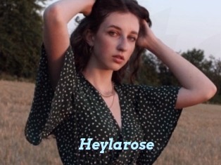 Heylarose