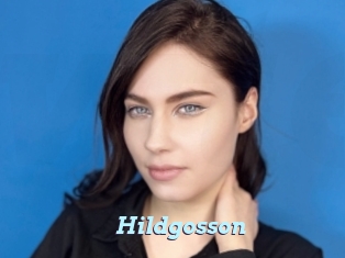 Hildgosson