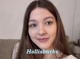 Hollisbarks