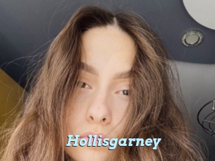 Hollisgarney