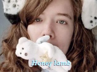 Honey_lamb