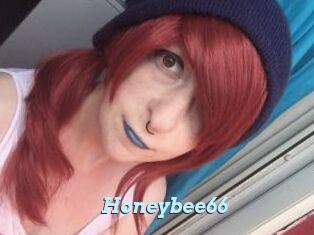 Honeybee66