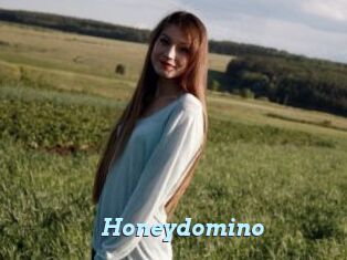 Honeydomino