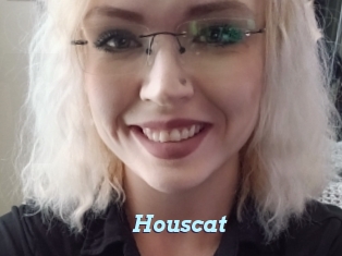 Houscat