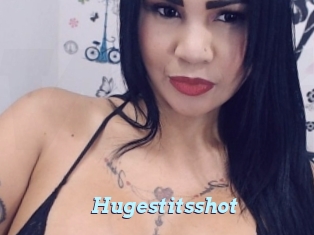 Hugestitsshot