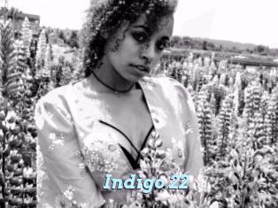 Indigo_22