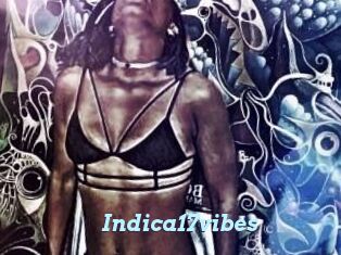 Indica17vibes