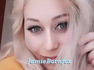 JamieBornfox Webcam Teen