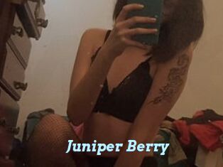Juniper_Berry
