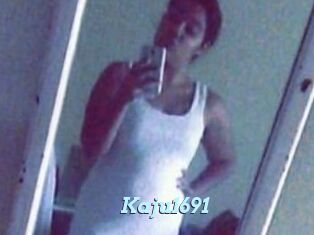 Kaju1691
