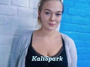 KaliSpark