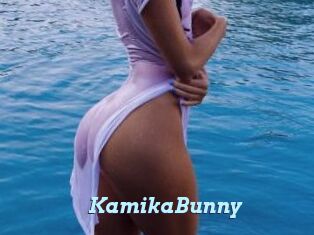 KamikaBunny