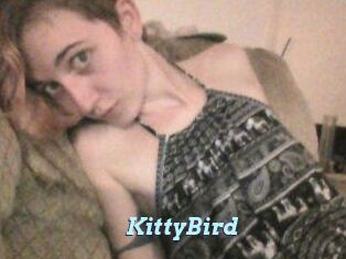 KittyBird