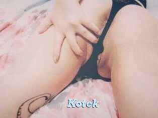 Kotek