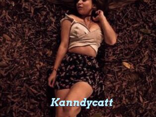 Kanndycatt