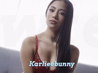 Karlieebunny